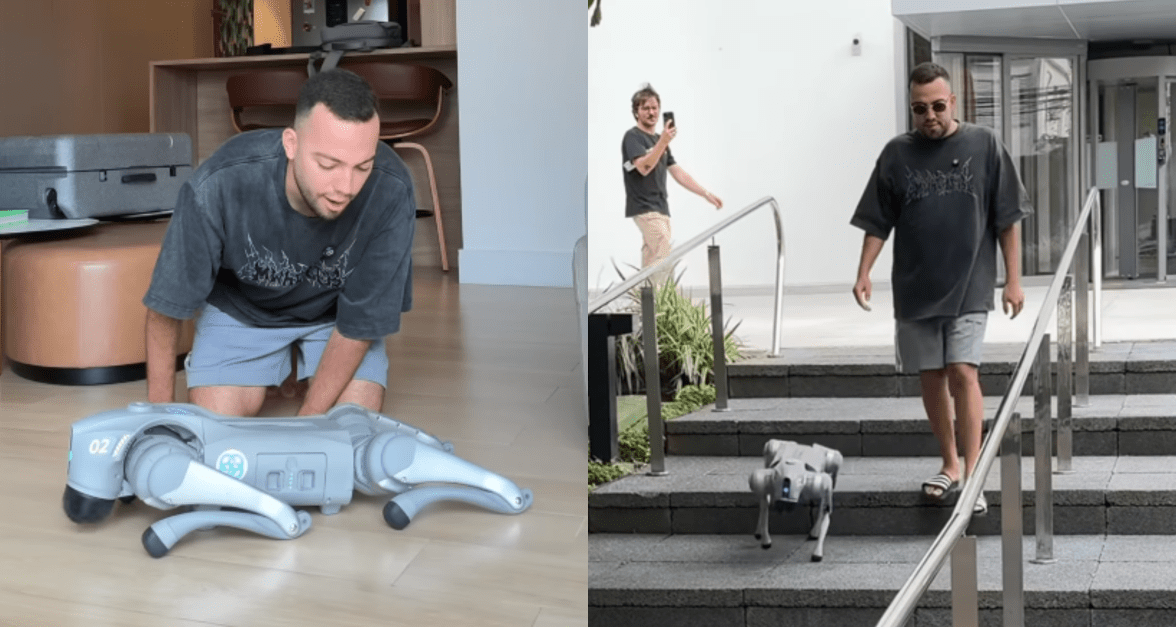 Quanto custa um cachorro-robô, como o de Lucas Rangel?