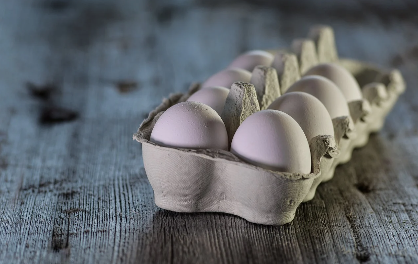 Global Eggs compra granja Legaria na Espanha e mira aquisições na Europa